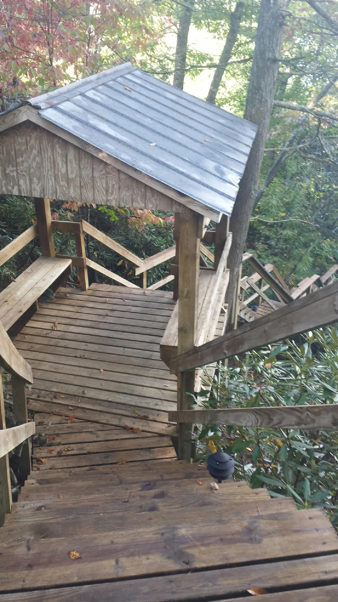 Metal roofed shelter over wooden steps on a wooded walkway — Skylight Repair & Installation work by our crew in Oyens